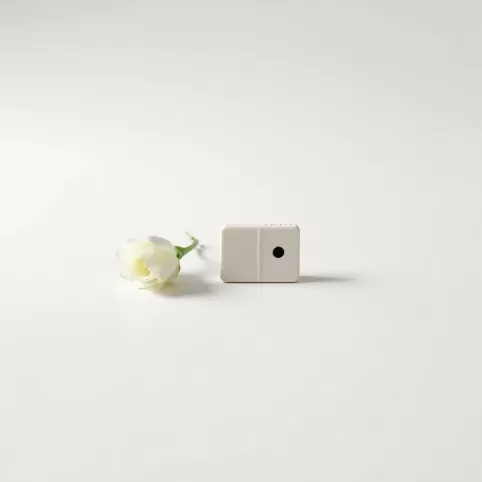 Stan cywilny wolny czy kawaler